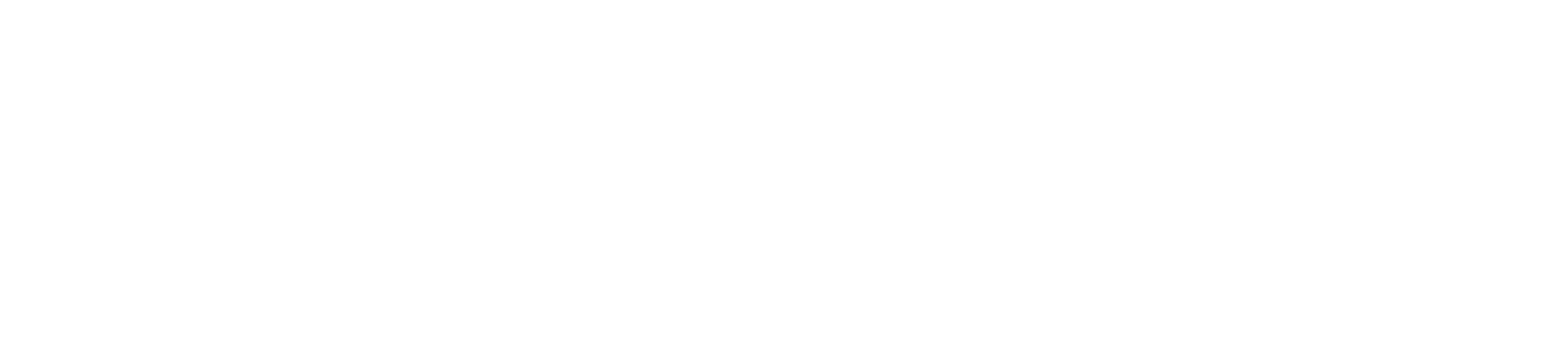 新たにデビューしたバッグ「SUIHA」